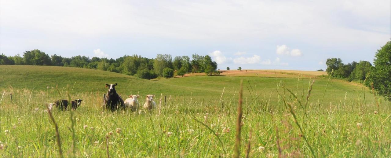 Sandfallet Glamping Laholm Buitenkant foto